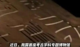 社会八卦最新爆料新闻,某明星恋情疑曝光，背后真相令人震惊